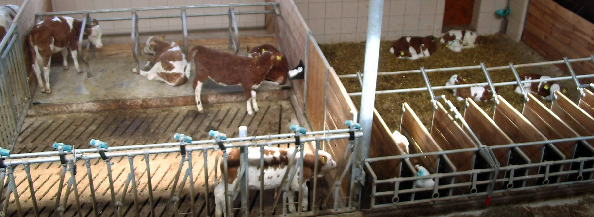 Kuhstall 2 &ndash;  (02.11.2016, VGN &copy;&nbsp;VGN GmbH)