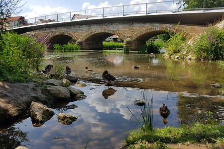Alte Baunachbrücke &ndash; (21.07.2019, S. Dassler &copy;&nbsp;VGN GmbH)