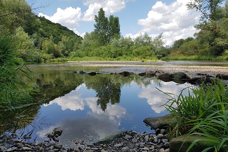 Mainspiegelung &ndash; (21.07.2019, S. Dassler &copy;&nbsp;VGN GmbH)