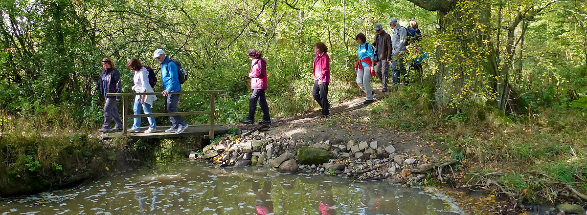 Steg über den Schweinebach &ndash;  (13.10.2012, VGN &copy;&nbsp;VGN GmbH)