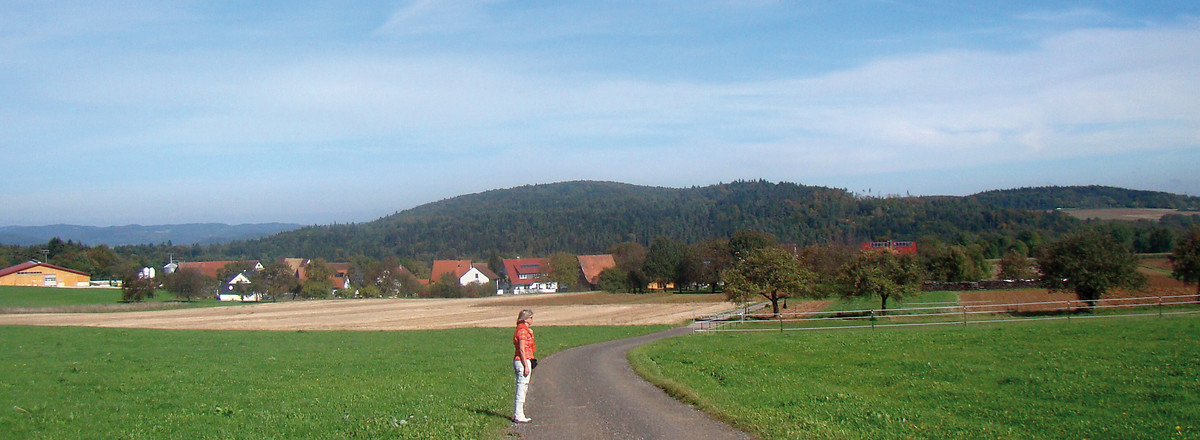 Hochplateau vor Prosberg &ndash;  (VGN &copy;&nbsp;VGN GmbH und örtliche Gemeinden)