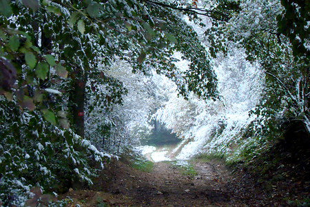 Winter... &ndash; (17.10.2009, VGN &copy;&nbsp;VGN GmbH)