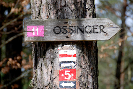 Wegweiser zum Ossinger &ndash; (30.03.2008, VGN &copy;&nbsp;VGN GmbH)