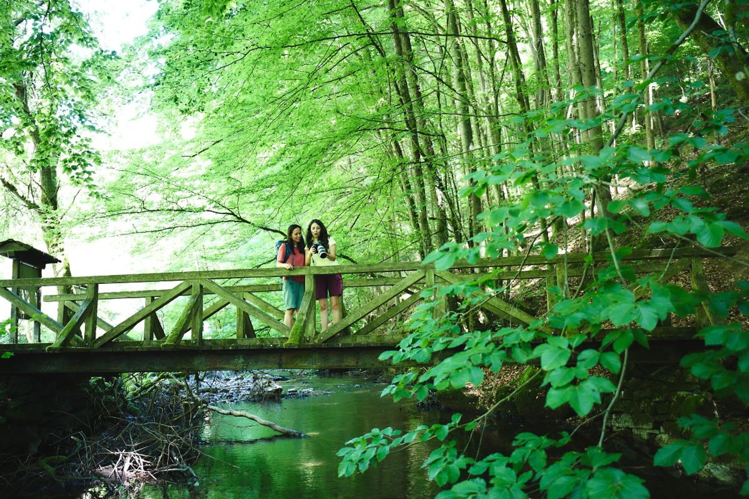 Grüne Aussichten in Oberfranken: Unterwegs im Steinachtal &ndash;  (&copy;&nbsp;VGN/A. Gaspar-Klein)