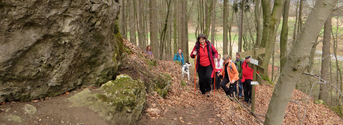 Gratwanderweg über den Buchenberg &ndash;  (11.08.2016, VGN &copy;&nbsp;VGN GmbH)