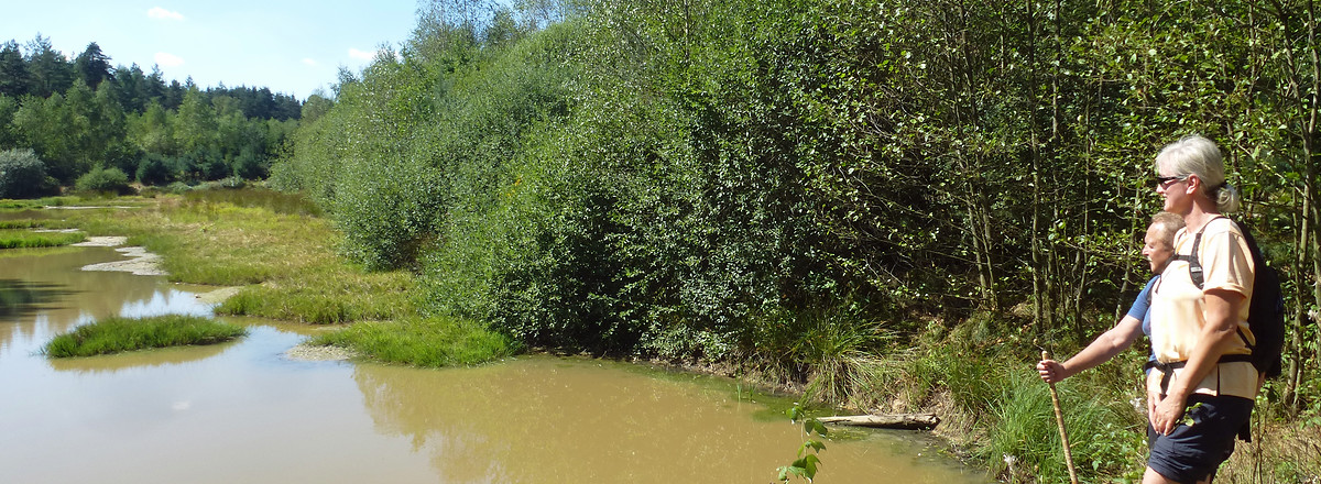 Weiherkette &ndash;  (29.08.2015, VGN &copy;&nbsp;VGN GmbH)