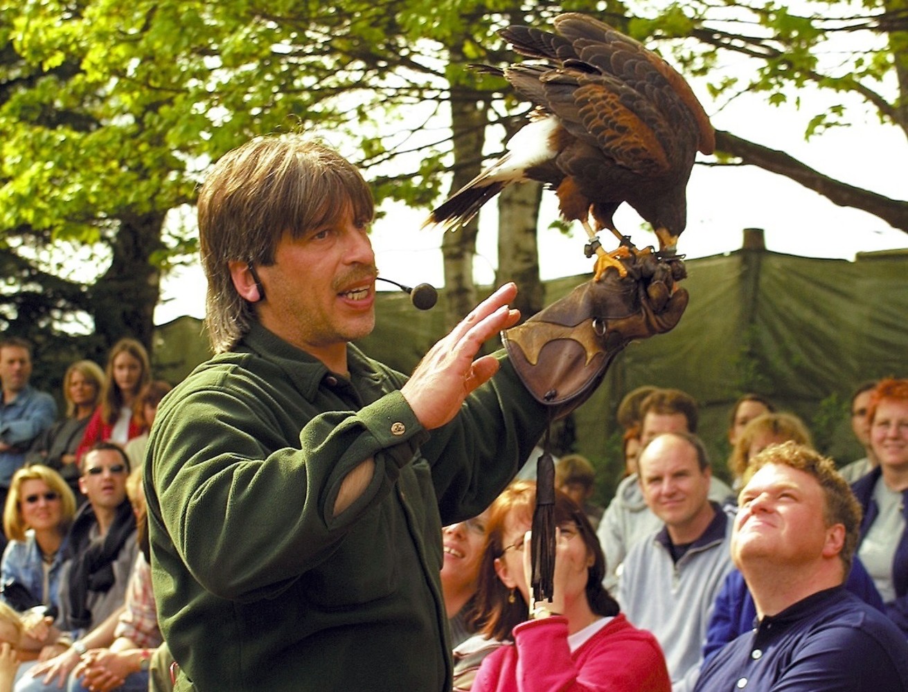 Falknerei &ndash;  (VGN &copy;&nbsp;VGN GmbH)