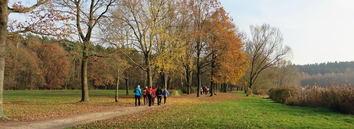 Uferweg Dechsendorfer Weiher &ndash;  (VGN &copy;&nbsp;VGN GmbH)