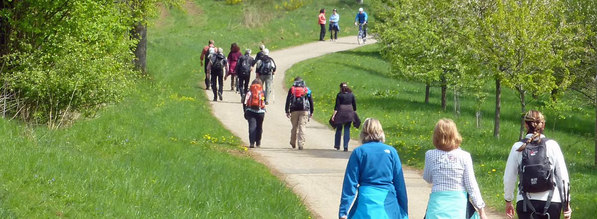 Am Hetzleser Berg &ndash;  (21.04.2014, VGN &copy;&nbsp;VGN GmbH)