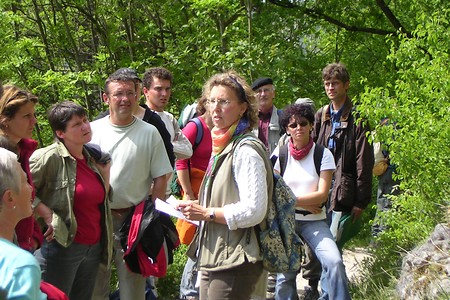 Treuchtlingen Naturexkursionen &ndash; (05.11.2015, Informationszentrum Treuchtlingen &copy;&nbsp;Informationszentrum Treuchtlingen)