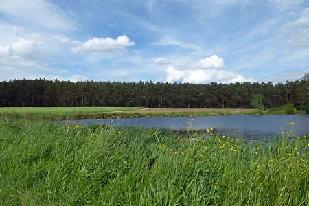 Harmer Weiher &ndash; (09.05.2014, VGN &copy;&nbsp;VGN GmbH)