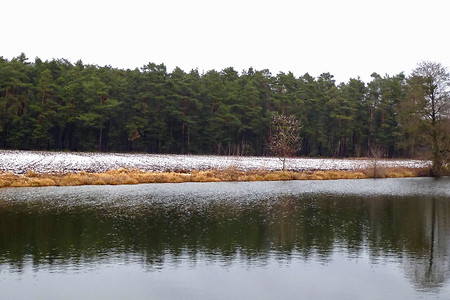 Winter am Harmer Weiher &ndash; (26.01.2014, VGN &copy;&nbsp;VGN GmbH)