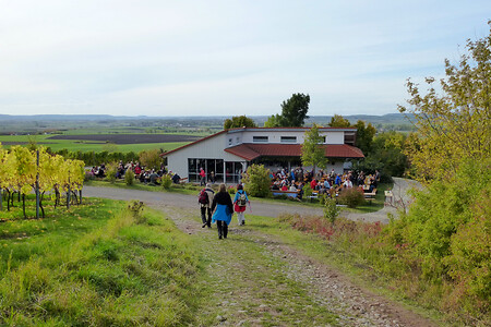 Weinnest in den Ipsheimer Weinbergen &ndash; (13.10.2012, VGN &copy;&nbsp;VGN GmbH)