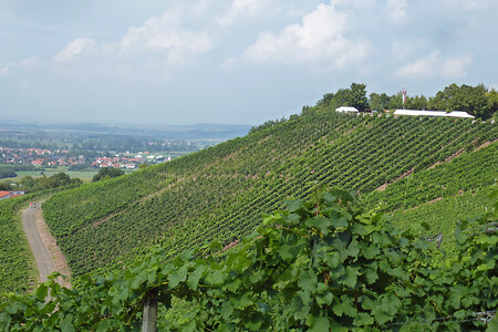 Weinberge in Franken &ndash; (VGN &copy;&nbsp;VGN GmbH)