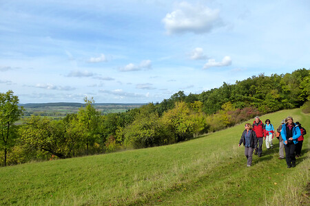 Panoramaweg vor Bühlberg &ndash; (13.10.2012, VGN &copy;&nbsp;VGN GmbH)