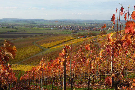 Blick auf Ipsheim &ndash; (08.11.2015, VGN &copy;&nbsp;VGN GmbH)