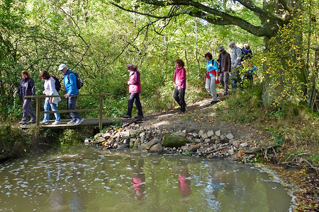 Steg über den Schweinebach &ndash; (13.10.2012, VGN &copy;&nbsp;VGN GmbH)
