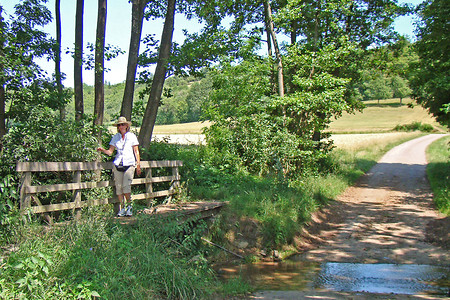 Steg über den Bach &ndash; (30.06.2011, VGN &copy;&nbsp;VGN GmbH)