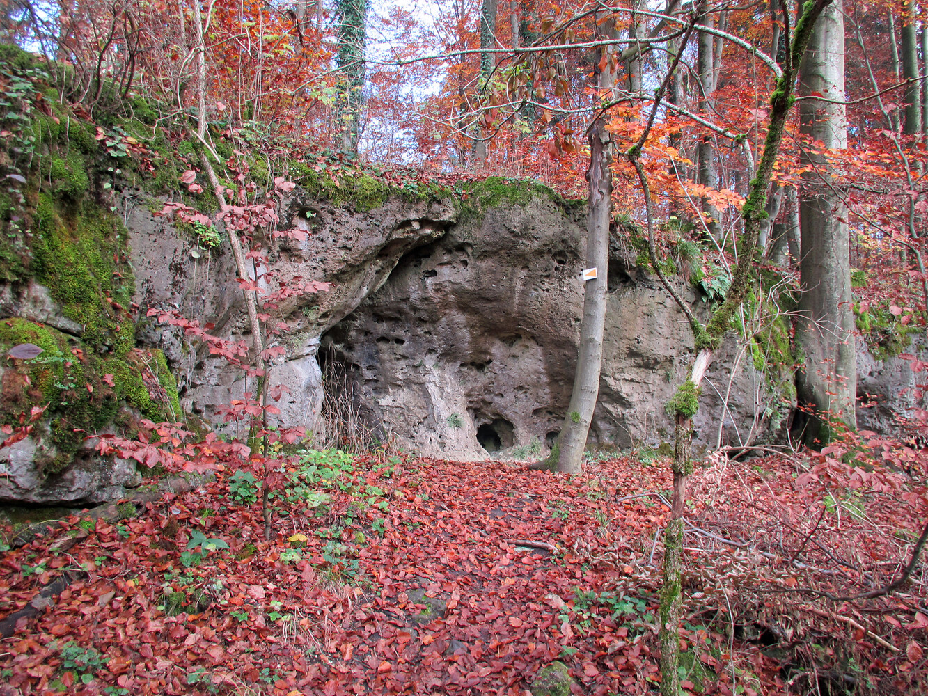 Jurafelsen im Herbst &ndash;  (VGN &copy;&nbsp;VGN GmbH)