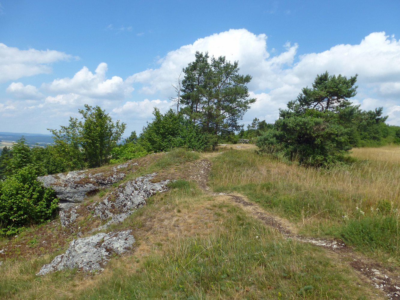 Landschaftsschutzgebiet Hohe Metze &ndash;  (VGN &copy;&nbsp;VGN GmbH)