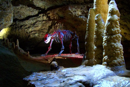 Höhlenbär &ndash; (Stadt Pottenstein &copy;&nbsp;Stadt Pottenstein)