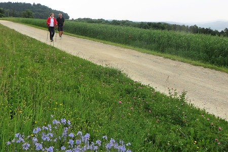 Höhenweg &ndash; (09.02.2018, VGN &copy;&nbsp;VGN GmbH)