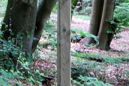 Nicht lohnenswert &ndash; (09.02.2018, VGN &copy;&nbsp;VGN GmbH)