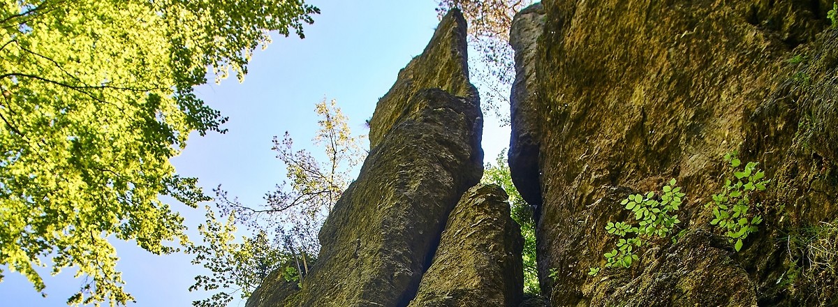Kletterfelsen Kalmusfelsen &ndash;  (10.04.2020, U. Buescher &copy;&nbsp;VGN GmbH)