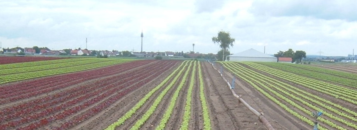 Nürnberg Silhouette &ndash;  (VGN &copy;&nbsp;VGN GmbH)