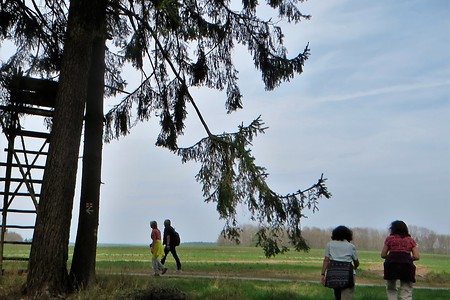 Vor Vestenberg &ndash; (13.02.2018, VGN &copy;&nbsp;VGN GmbH)