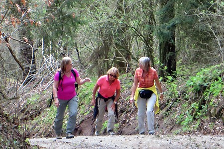 Im Anstieg &ndash; (13.02.2018, VGN &copy;&nbsp;VGN GmbH)