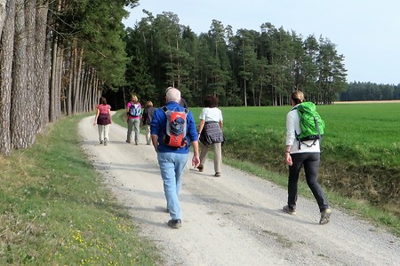 Auf dem Jakobsweg &ndash; (13.02.2018, VGN &copy;&nbsp;VGN GmbH)
