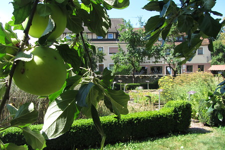 Äpfel am Weg &ndash; (18.08.2016, schreibwerk &copy;&nbsp;schreibwerk)