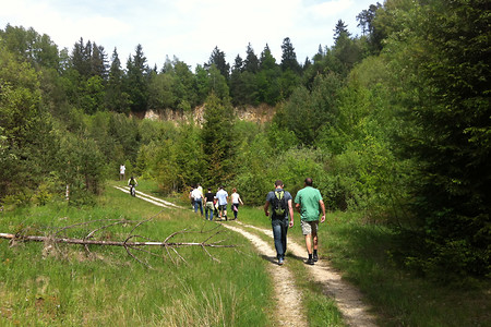 Durch den alten Steinbruch &ndash; (21.05.2016, VGN &copy;&nbsp;VGN GmbH)