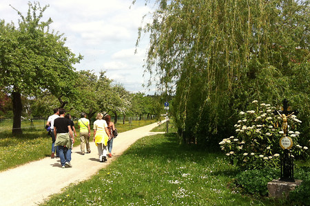 Nach Höhenberg &ndash; (21.05.2016, VGN &copy;&nbsp;VGN GmbH)