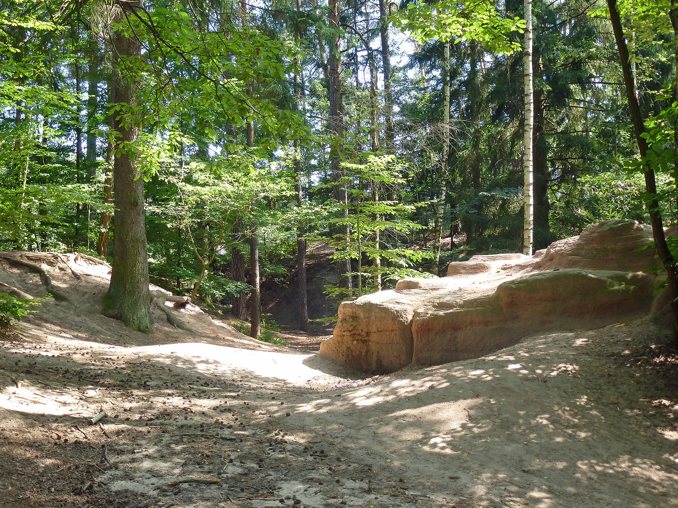 Sandstein am Schmausenbuck &ndash;  (VGN &copy;&nbsp;VGN GmbH)