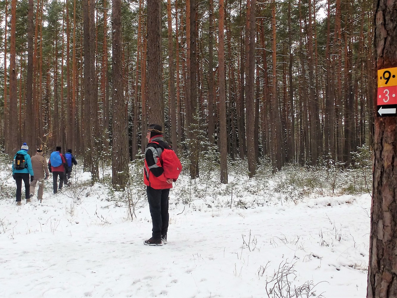 Abzweig &ndash;  (23.03.2018, VGN &copy;&nbsp;VGN GmbH)