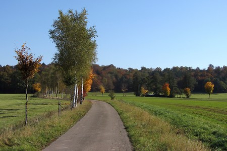 Vehlberg_Weinberg &ndash; (19.02.2019, R. Rück &copy;&nbsp;schreibwerk)