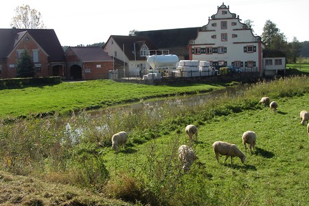 Wieseth_Gern &ndash; (19.02.2019, R. Rück &copy;&nbsp;schreibwerk)