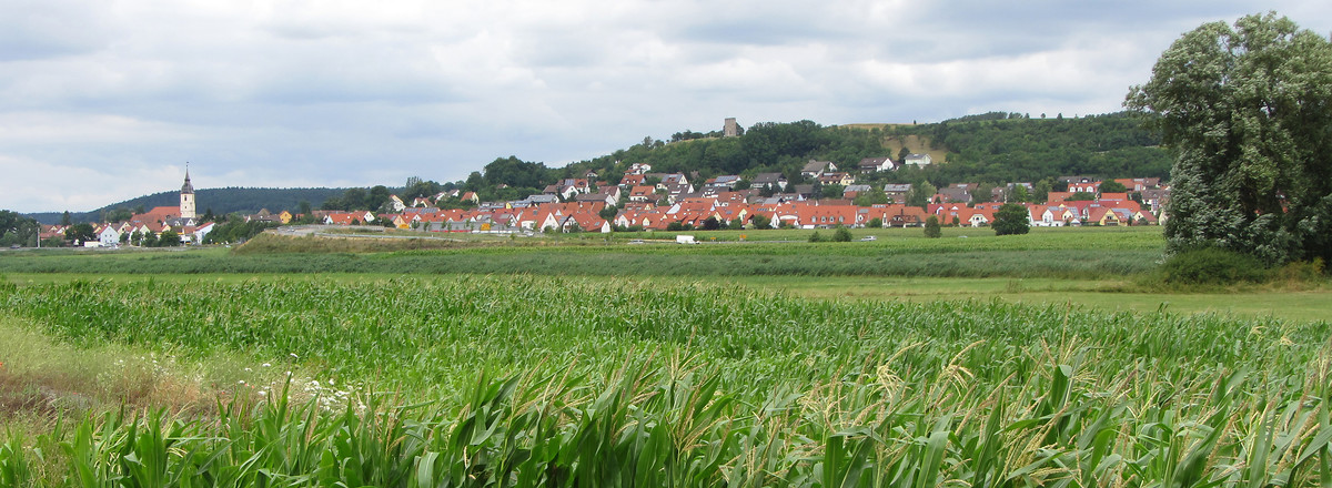 Blick auf Lehrberg &ndash;  (31.07.2013, VGN &copy;&nbsp;VGN GmbH)