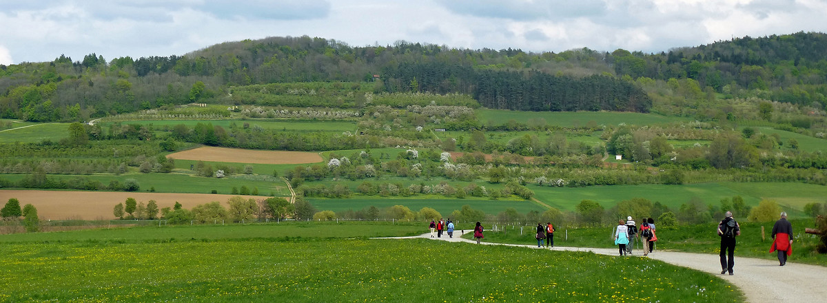 Blick ins Schwabachtal &ndash;  (21.04.2014, VGN &copy;&nbsp;VGN GmbH)