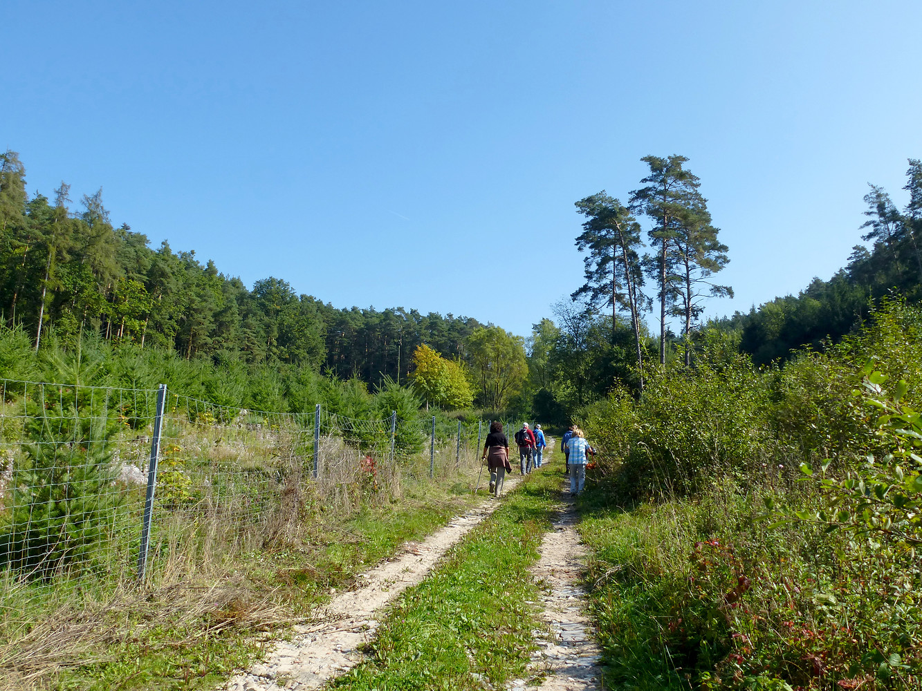 Auf dem Weg nach Rauschenberg &ndash;  (28.09.2013, VGN &copy;&nbsp;VGN GmbH)