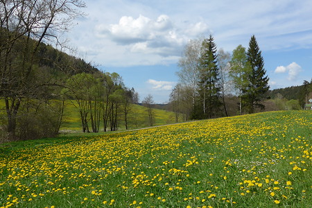 Labertal &ndash; (VGN &copy;&nbsp;VGN GmbH)
