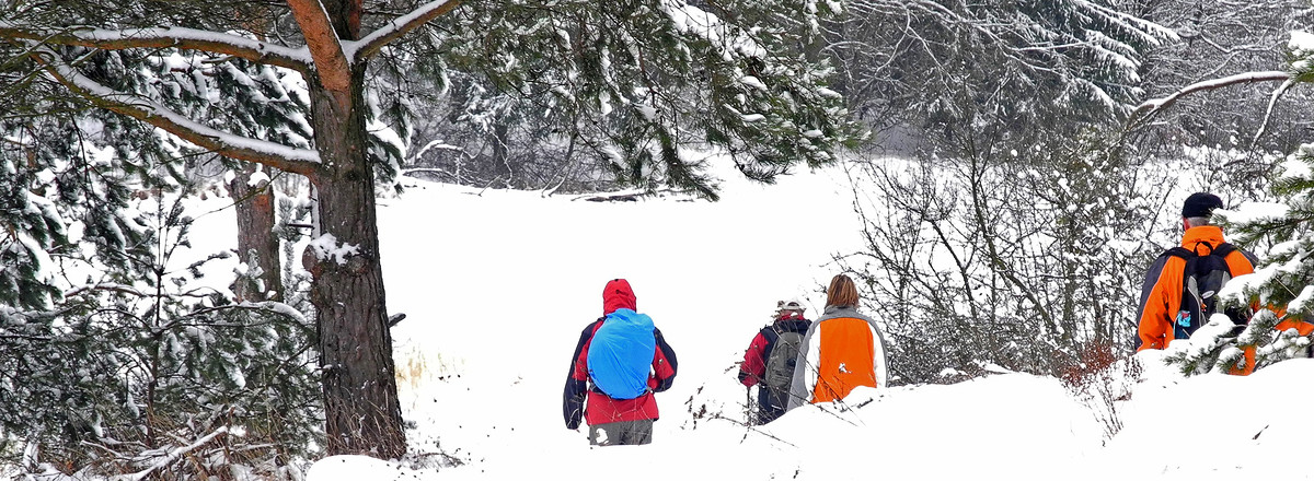 Abwärts nach Högen &ndash;  (28.01.2012, VGN &copy;&nbsp;VGN GmbH)