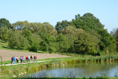 Karpfenweiher im Aischgrund &ndash; (28.09.2013, VGN &copy;&nbsp;VGN GmbH)