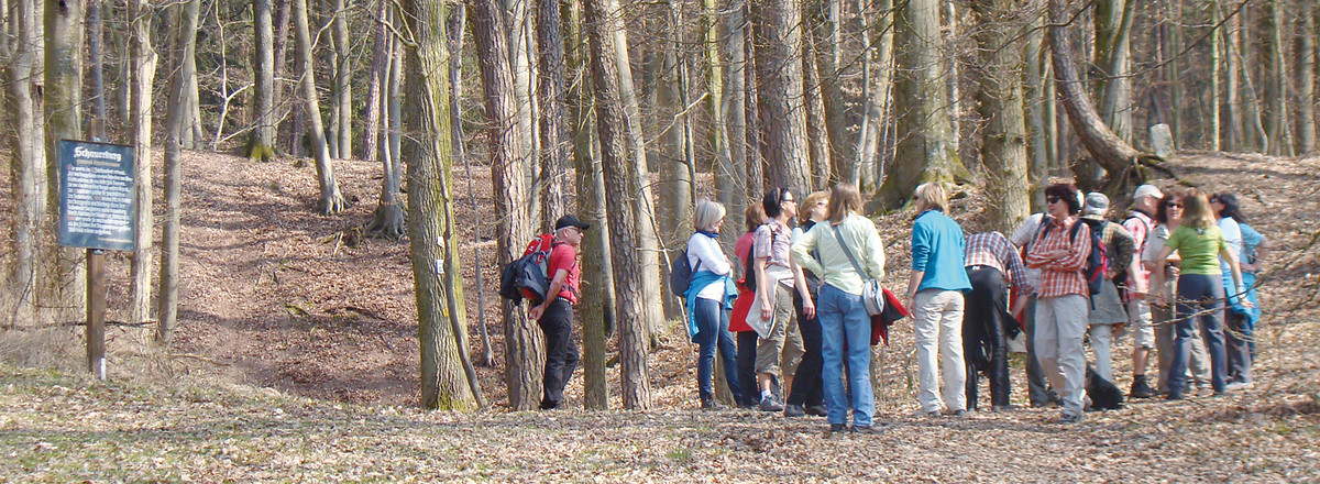 Vor der Ruine Schauerberg &ndash;  (26.03.2012, VGN &copy;&nbsp;VGN GmbH)