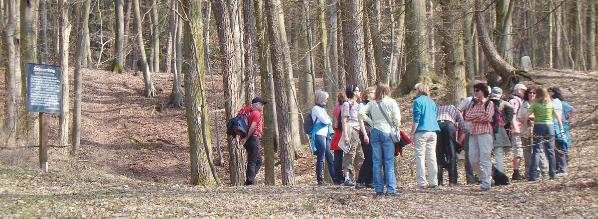 Vor der Ruine Schauerberg &ndash;  (26.03.2012, VGN &copy;&nbsp;VGN GmbH)