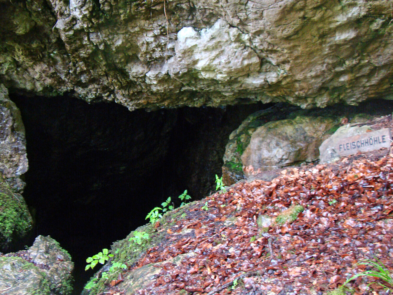 Eingang zur Fleischhöhle &ndash;  (VGN &copy;&nbsp;VGN GmbH)