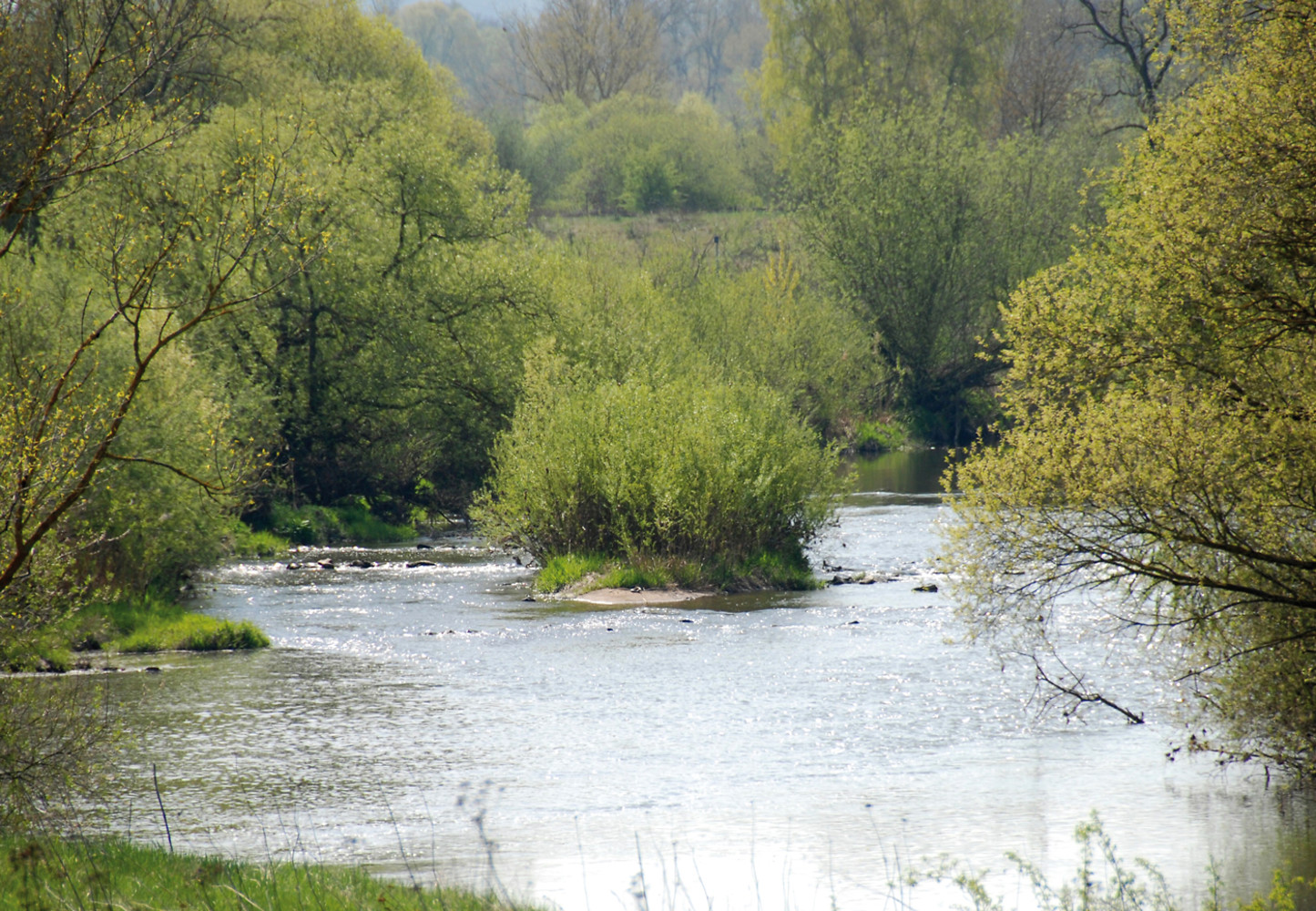 Regnitz bei Buttenheim &ndash;  (VGN &copy;&nbsp;VGN GmbH)