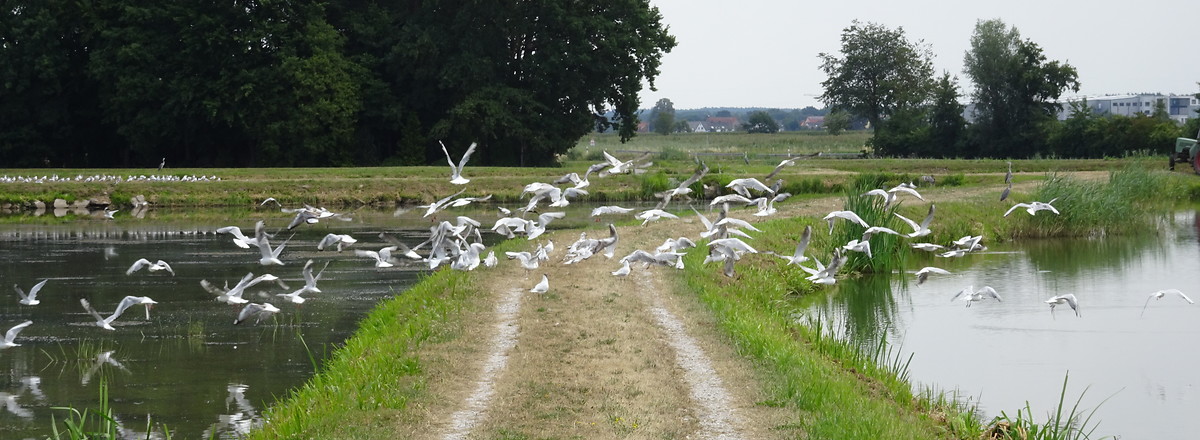 Ausflug &ndash;  (20.07.2018, VGN S.Daßler &copy;&nbsp;VGN GmbH)